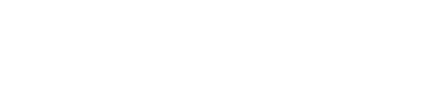 swiftwings Logo